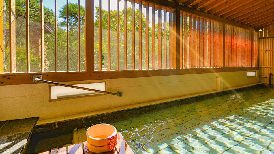 Ooedo Onsen Monogatari Hotel Shinko