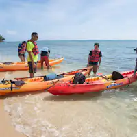 บนเกาะร้าง