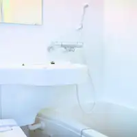 Kamar mandi dengan toilet dan shower terintegrasi