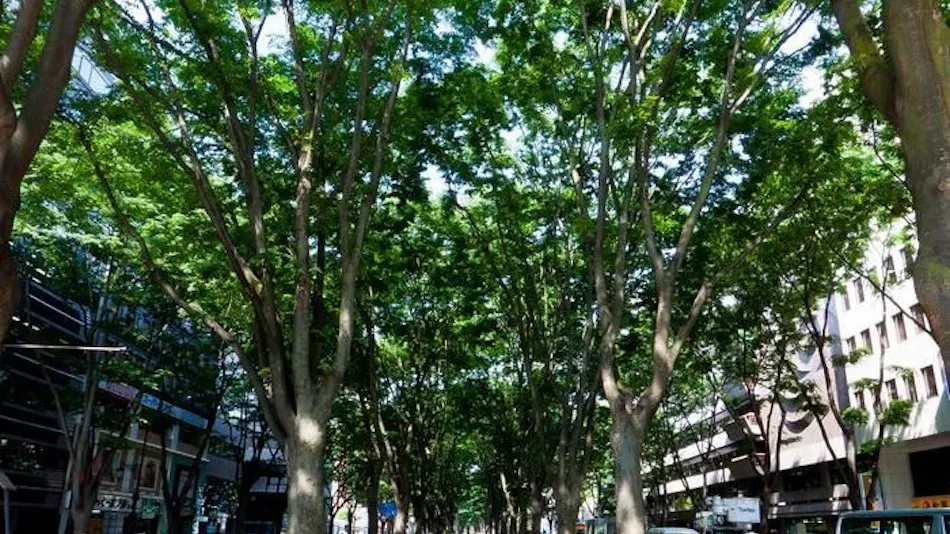 Hotel Jozenji