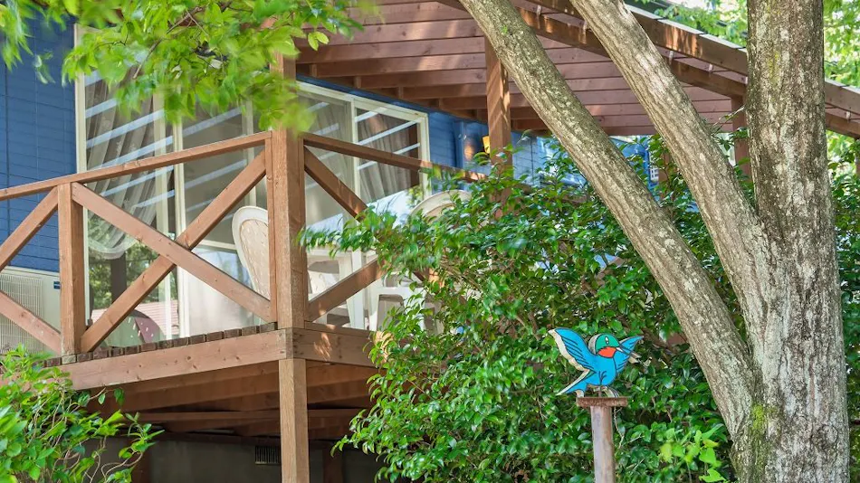 Pension Hummingbird
