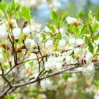 Jalur hiking◆Dapat dimulai dari Akomodasi