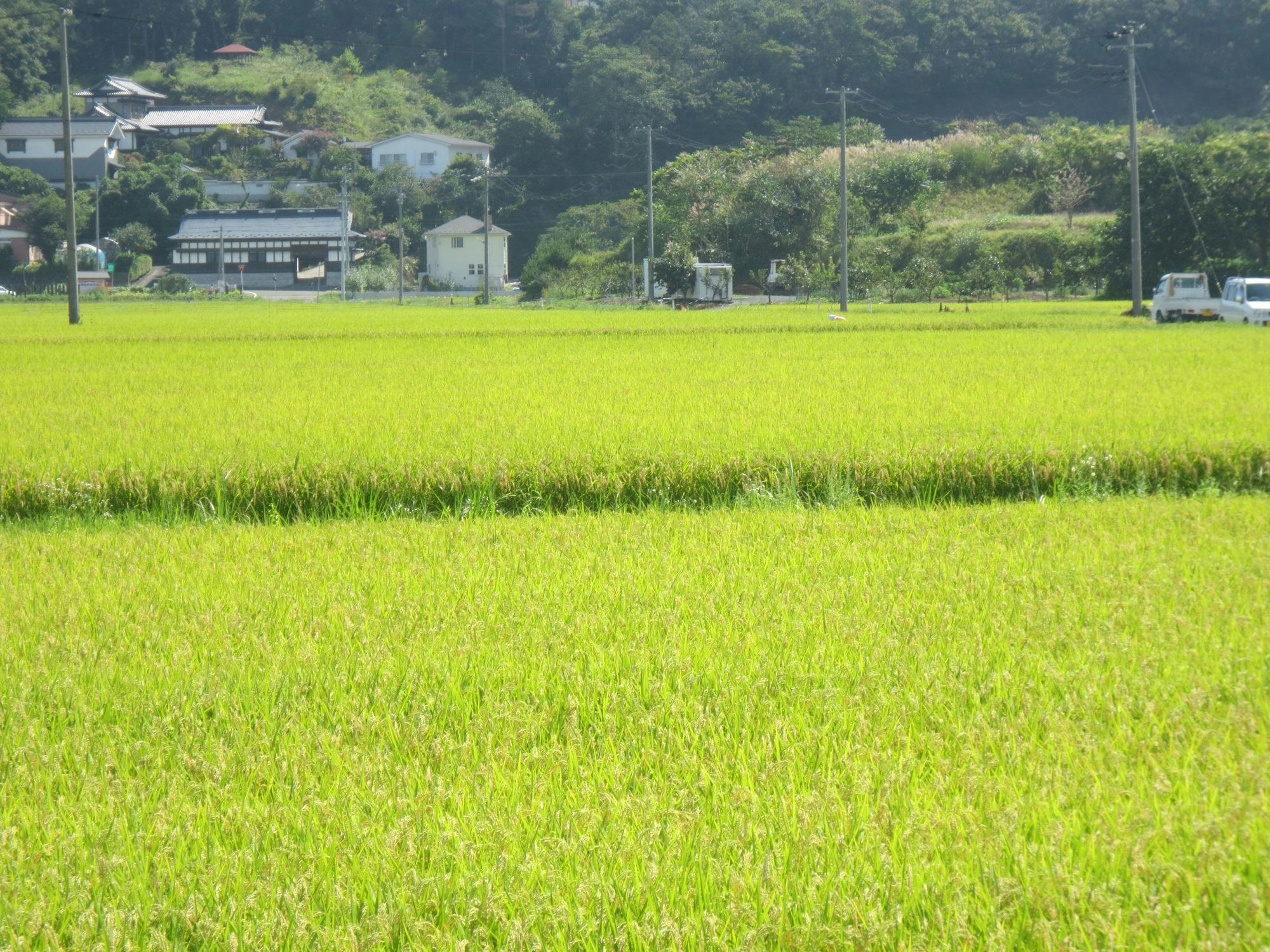 Hotel Bouenkaku