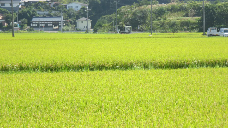 Hotel Bouenkaku
