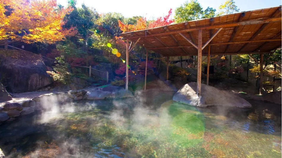 Kogane Onsen Kogane Sanso