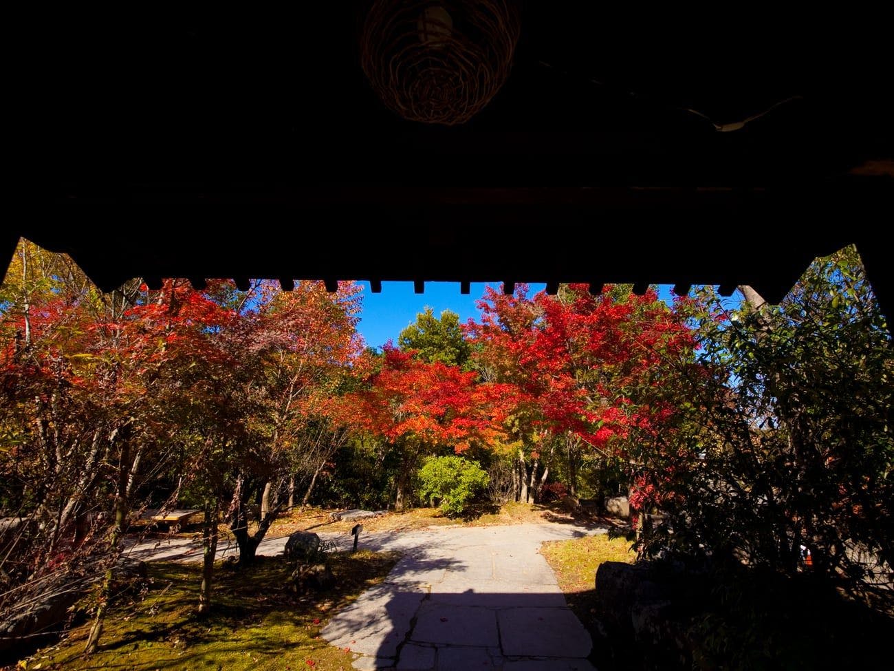 Kogane Onsen Kogane Sanso