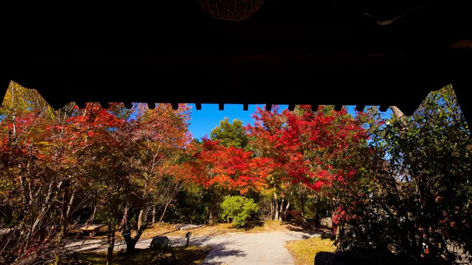 Kogane Onsen Kogane Sanso