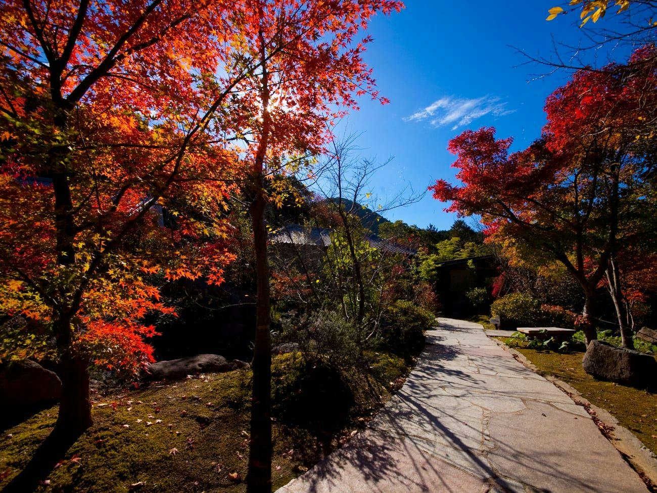 Kogane Onsen Kogane Sanso