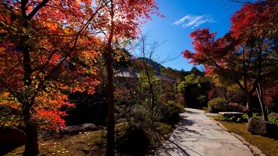 Kogane Onsen Kogane Sanso