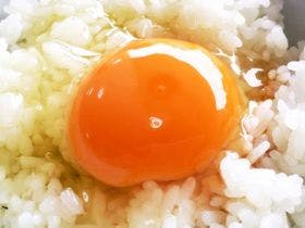 奥久慈の旬食材・地産池消を食す宿　鮎の里　ホテル鮎亭