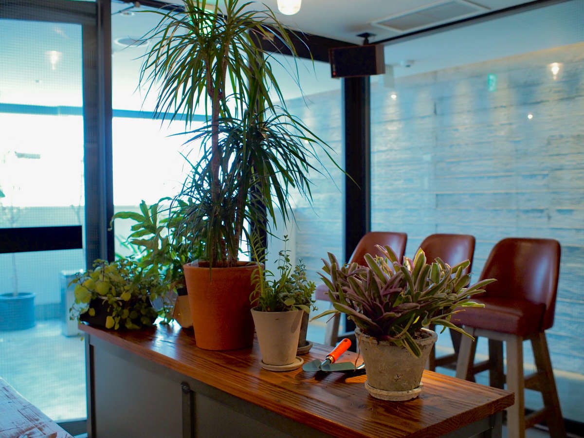 ロックスターホテル 宿泊予約なら Yahoo トラベル