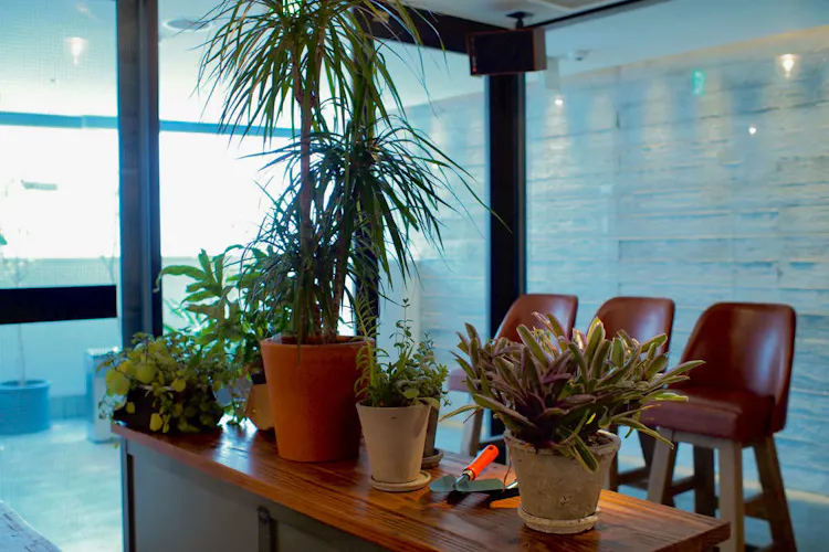 ロックスターホテル 宿泊予約なら Yahoo トラベル ロックスターホテル 宿泊予約なら Yahoo トラベル