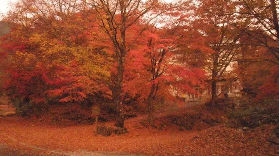 Resort Pension Shikisai
