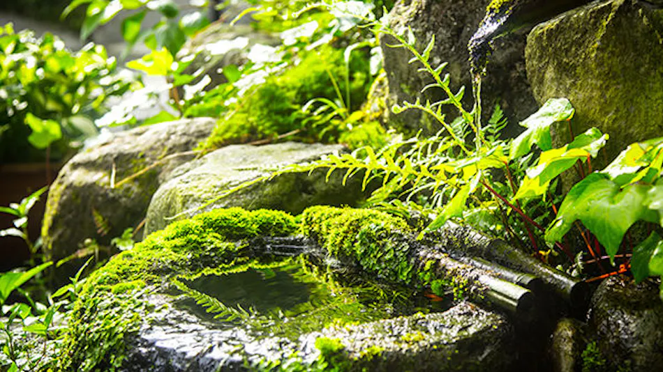 Yufuin Onsen Hisui no Yado Reimei