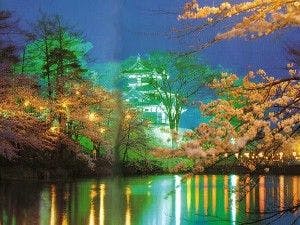 งานชมดอกซากุระยามค่ำคืนที่ปราสาททาคาดะที่มีการประดับไฟ