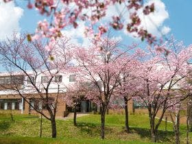 グリーンパークしんとつかわ