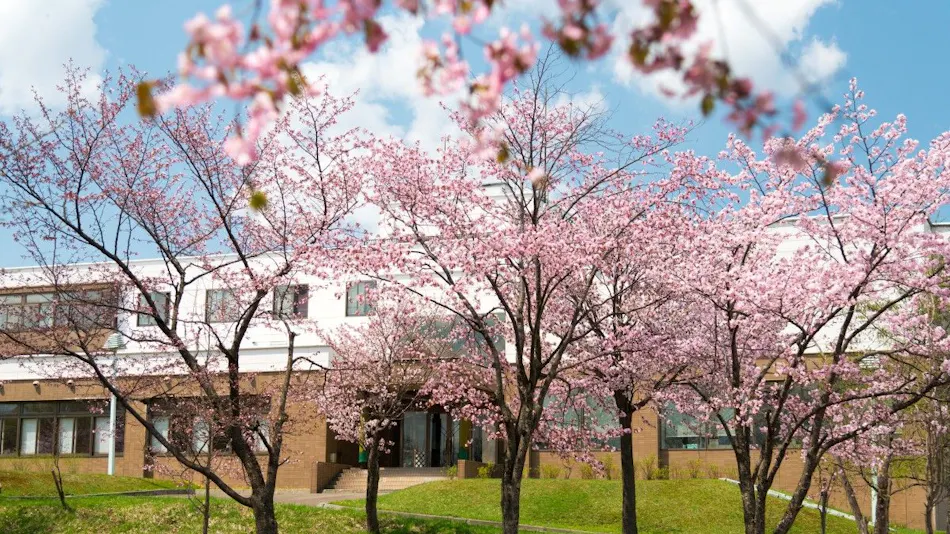Hotel Green Park Shintotsukawa