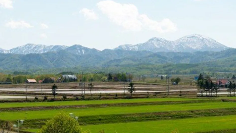 Hotel Green Park Shintotsukawa