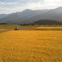 Fruitful autumn