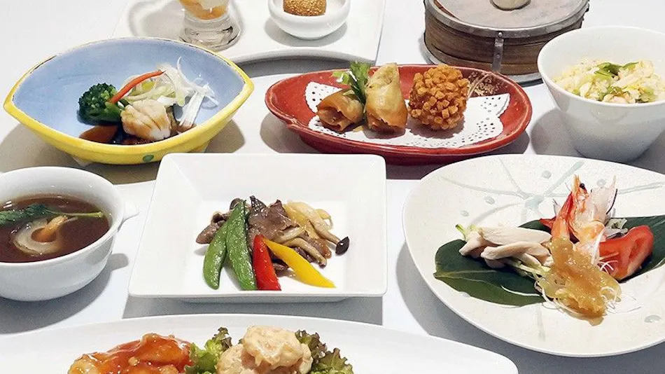 Tottori Washington Hotel Plaza