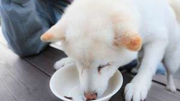 ファームイン南房総 杉田棟 の宿泊プラン 予約 Yahoo トラベル ファームイン南房総 杉田棟 の宿泊プラン 予約 Yahoo トラベル