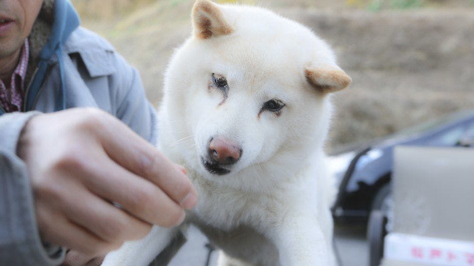 ファームイン南房総 杉田棟 の宿泊プラン 予約 Yahoo トラベル