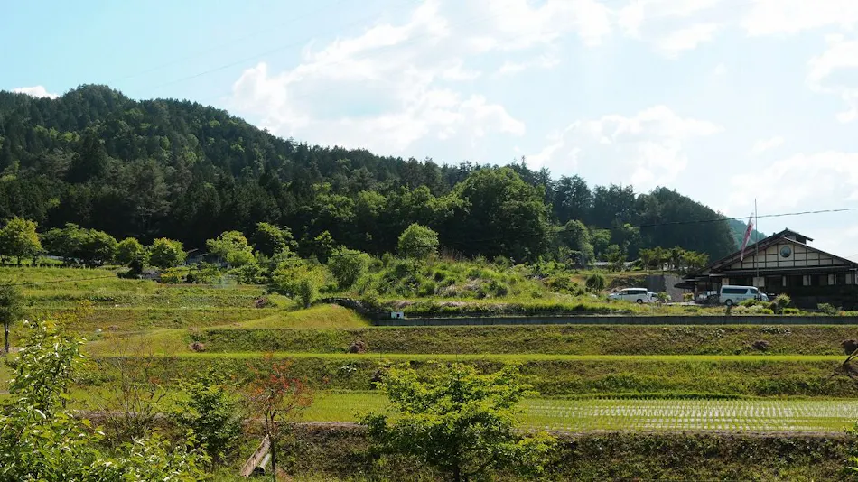 Sakura Guest House