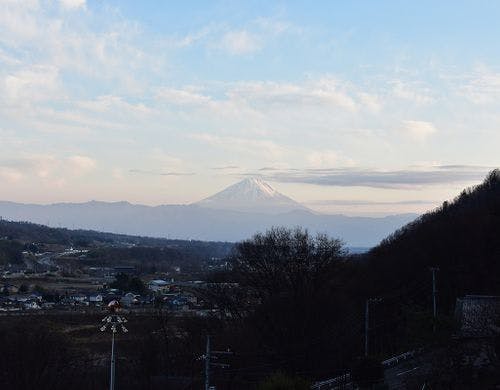 富士山側客室からの景色