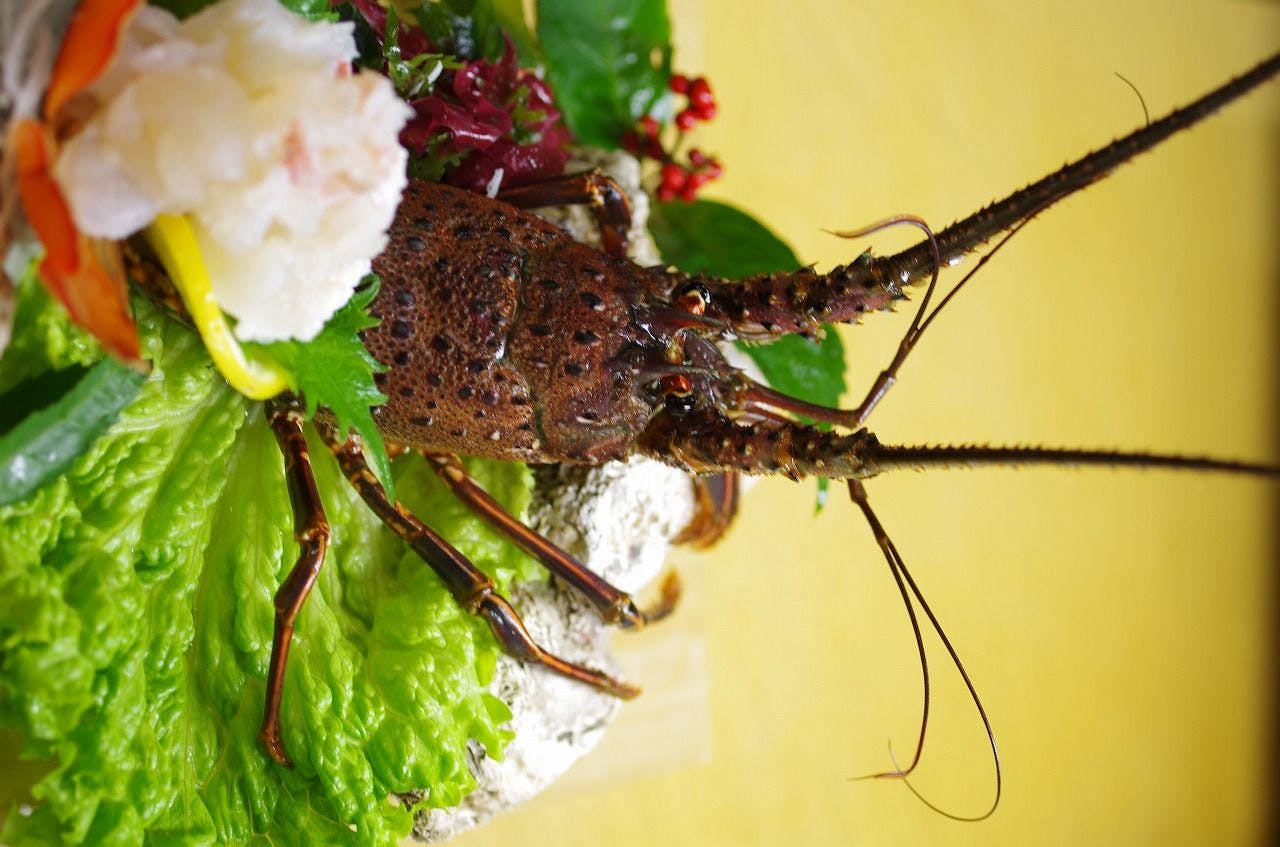 ซาชิมิกุ้งมังกรอิเสะสด