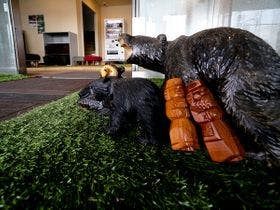 Ａｉｒ　Ｈｏｓｔｅｌ　ＬＣＣ