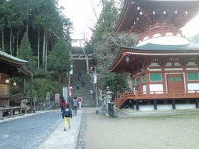 くどやま旅館　玉川亭