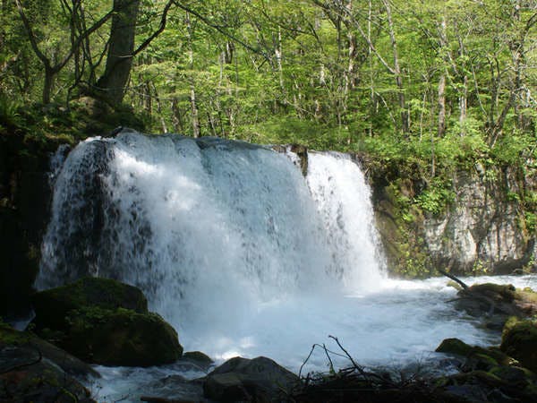 十和田湖畔温泉 とわだこ遊月】の宿泊プラン・予約 - ［Yahoo!トラベル］