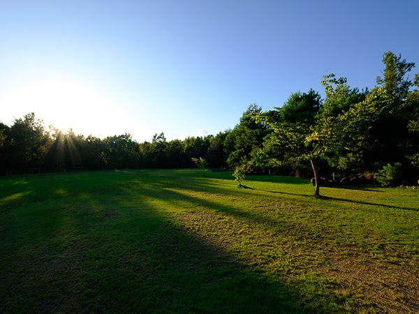 Tempat berkemah otomatis