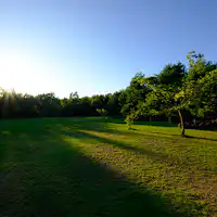 Tempat berkemah otomatis