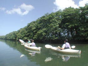 イルマーレウナリザキ