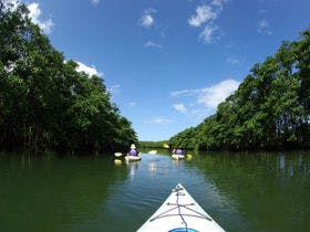 イルマーレウナリザキ