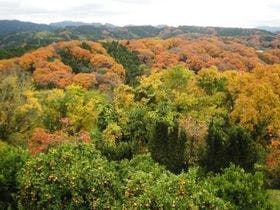 かんぽの宿 富田林