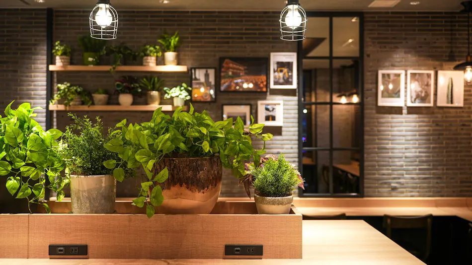 Super Hotel Nara, Shin-Omiya Station Front