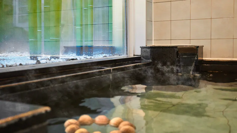 Natural Hot Spring Sansha no Yu Super Hotel Hachinohe Natural Hot Spring
