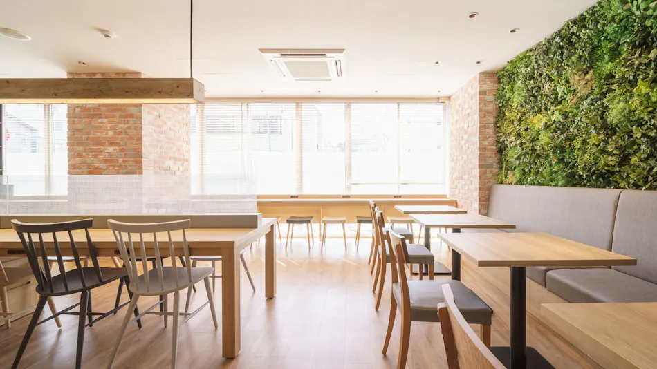 High Concentration Carbonated Spring Ginkgo Bath Super Hotel Shinagawa Aomonoyokocho