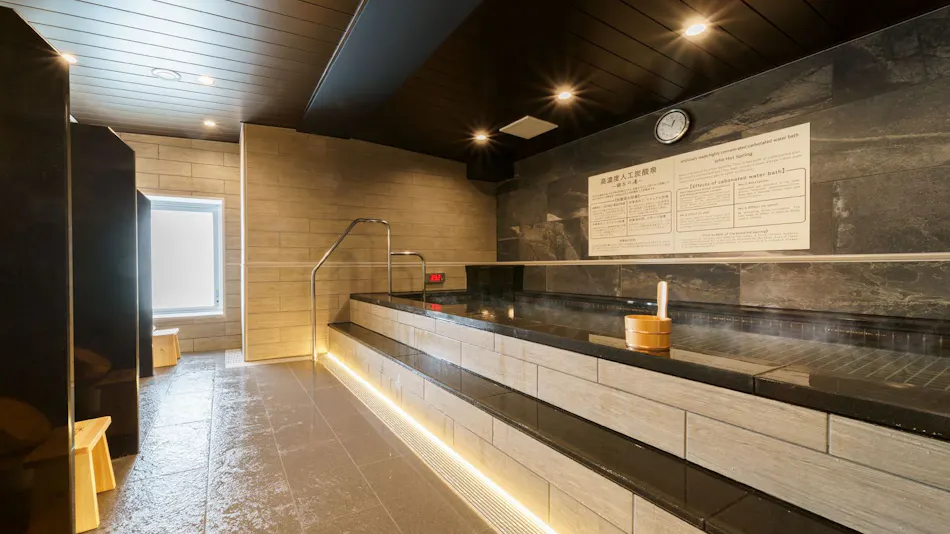 High Concentration Carbonated Spring Ginkgo Bath Super Hotel Shinagawa Aomonoyokocho