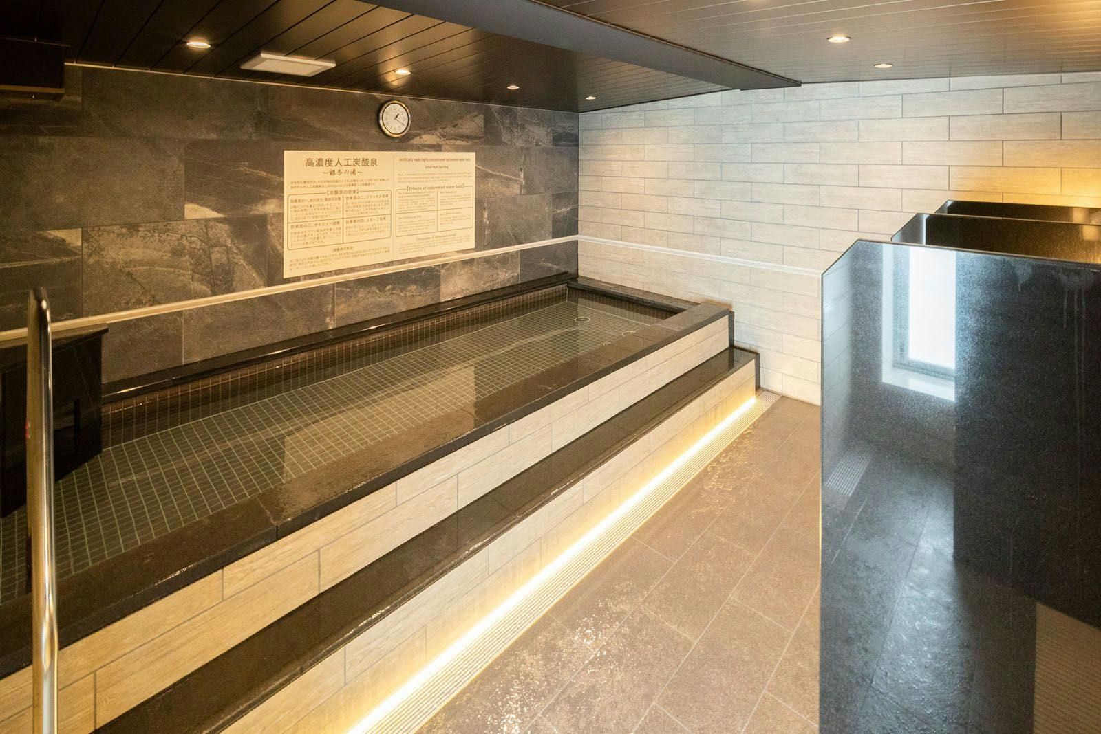 High Concentration Carbonated Spring Ginkgo Bath Super Hotel Shinagawa Aomonoyokocho