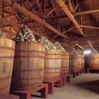 Rencana dengan oleh-oleh