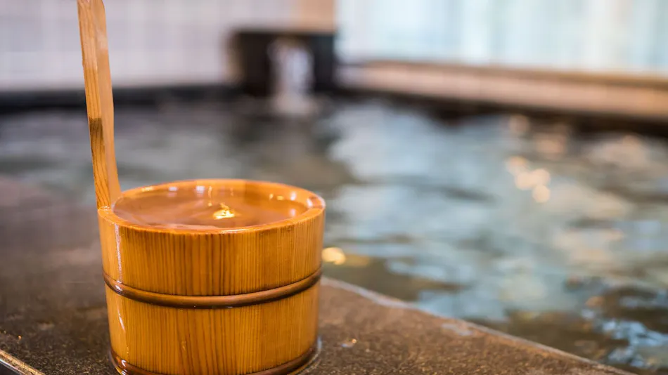 Natural Hot Spring Aoi no Yu Super Hotel Okazaki