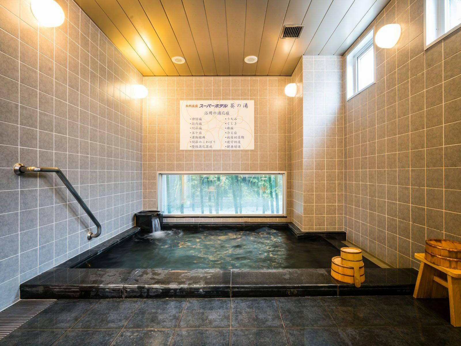 Natural Hot Spring Aoi no Yu Super Hotel Okazaki
