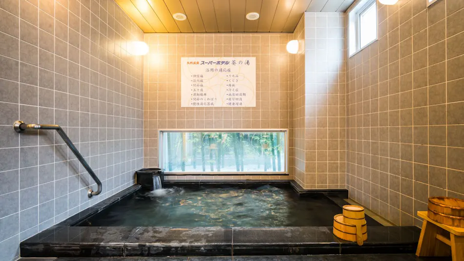 Natural Hot Spring Aoi no Yu Super Hotel Okazaki