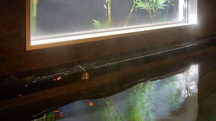 天然温泉 富士あざみの湯 スーパーホテル御殿場2号館 の宿泊プラン 予約 Yahoo トラベル 天然温泉 富士あざみの湯 スーパーホテル御殿場2号館 の宿泊プラン 予約 Yahoo トラベル
