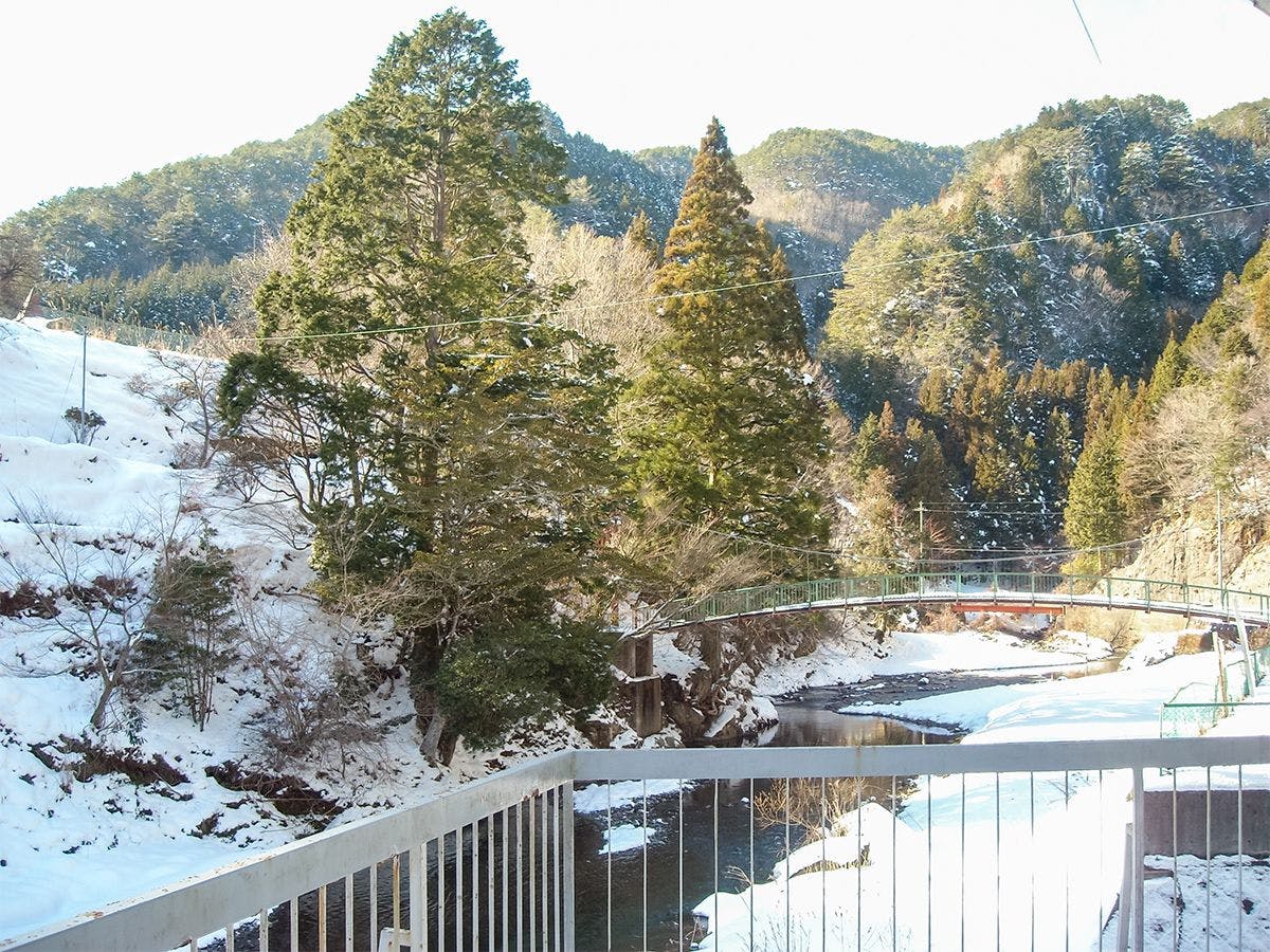 Nosegawa Onsen Hotel Nosegawa
