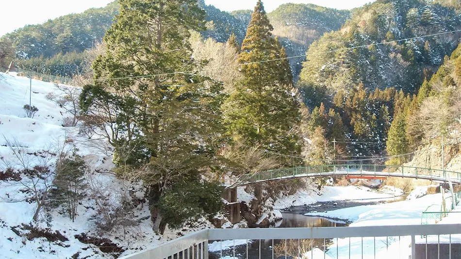 Nosegawa Onsen Hotel Nosegawa