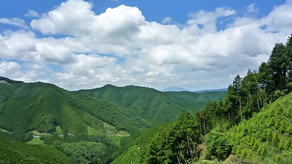 Nosegawa Onsen Hotel Nosegawa